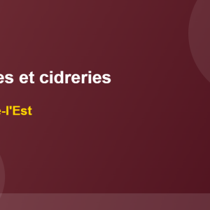 Top 10 Vignobles et cidreries Cantons-de-l'Est 2026